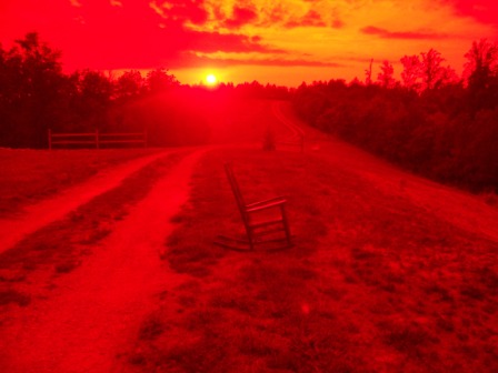 fields