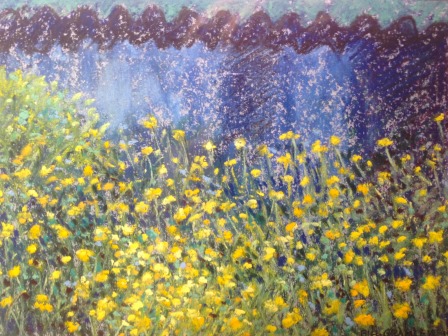 fields