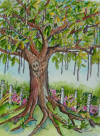 Tree of Life