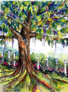 Tree of Life